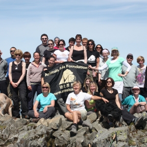 Large group poses outdoors on rocks with Animals Asia Foundation banner, some seated with dogs.