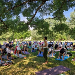 Outdoor yoga class with participants on mats under green trees in a park.
