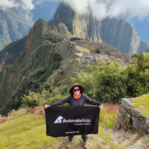 Person holding an Animals Asia banner at Machu Picchu, with mountains and ancient ruins in the background.