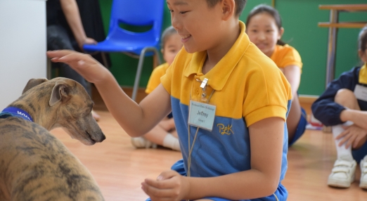 Child in a school uniform interacts gently with a dog during an indoor educational activity.
