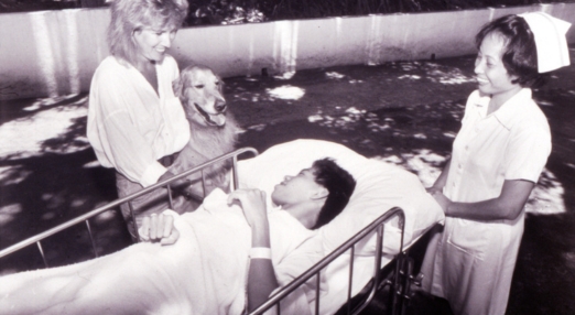 Nurse and caregiver stand by a hospital bed with a patient and a therapy dog in an outdoor setting.