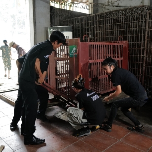 Four staff members in black shirts move a red metal transport cage using a trolley inside a rescue facility.