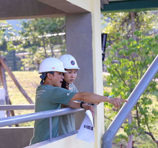 Two sanctuary staff in safety helmets discussing and pointing while inspecting construction outdoors.