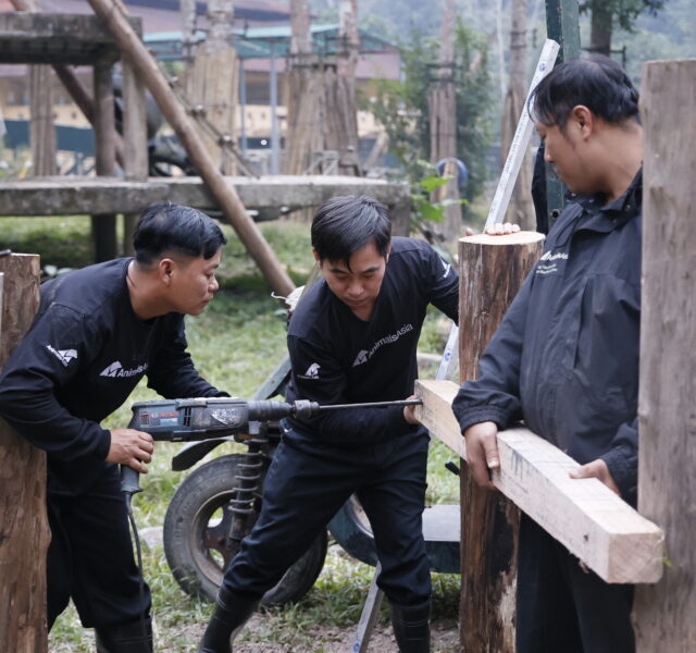 Animals Asia workers using a power drill and assembling wooden structures in an outdoor sanctuary area.