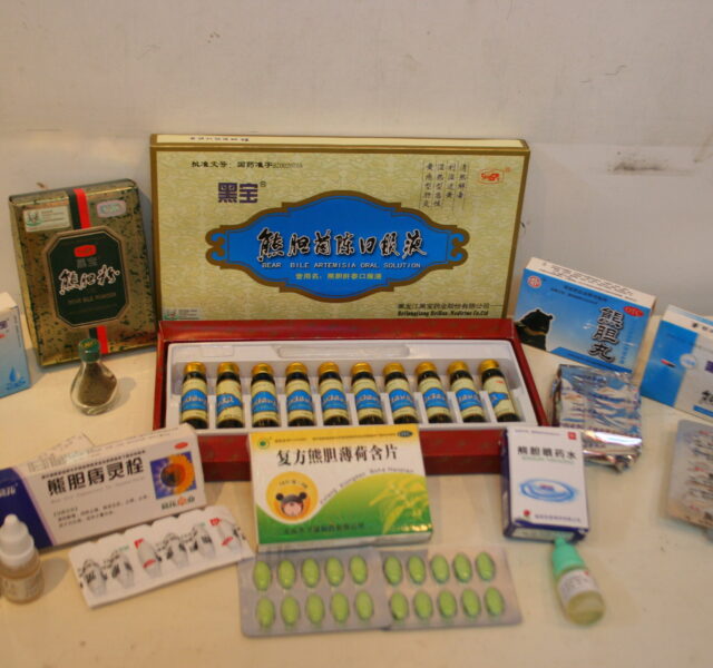 A row of boxes and bottles of products containing bear bile.