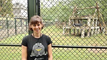 A caucasian woman with short brown hair stands smiling in front of a grassy bear enclosure as a bear relaxes in background.