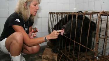 White woman with blonde hair crouching down next to a tiny rusty cage with a bear inside, the woman is feeding the bear honey on her finger.