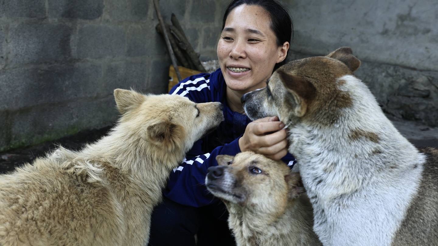 Woman in blue jacket sitting and petting three dogs, showing affection near a stone wall.