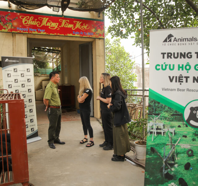 Group discussing near a Vietnam Bear Rescue Centre banner, with red bear transport cages in the background.
