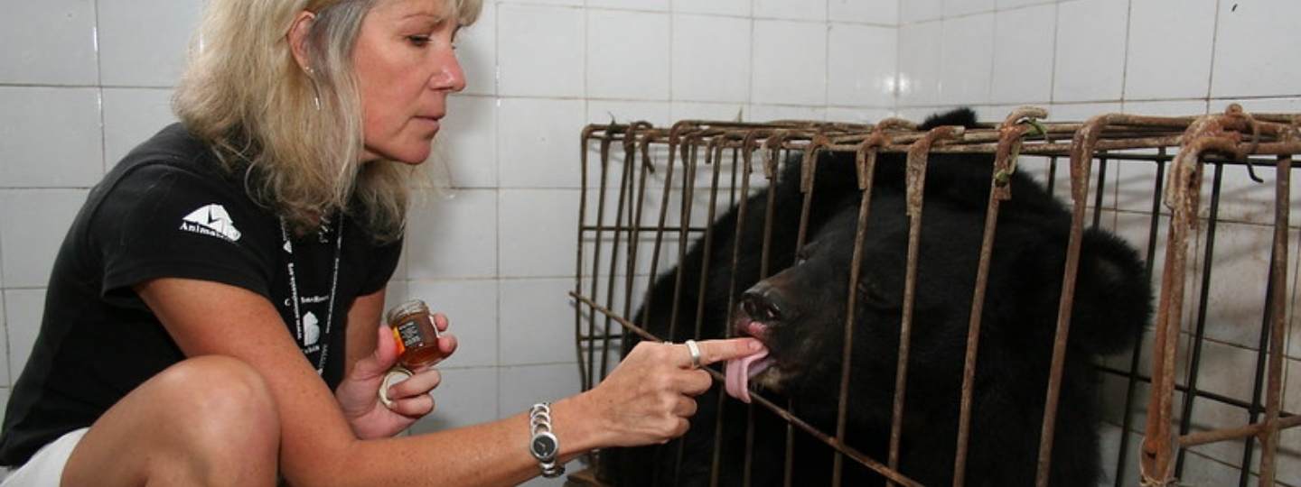 White woman with blonde hair crouching down next to a tiny rusty cage with a bear inside, the woman is feeding the bear honey on her finger.