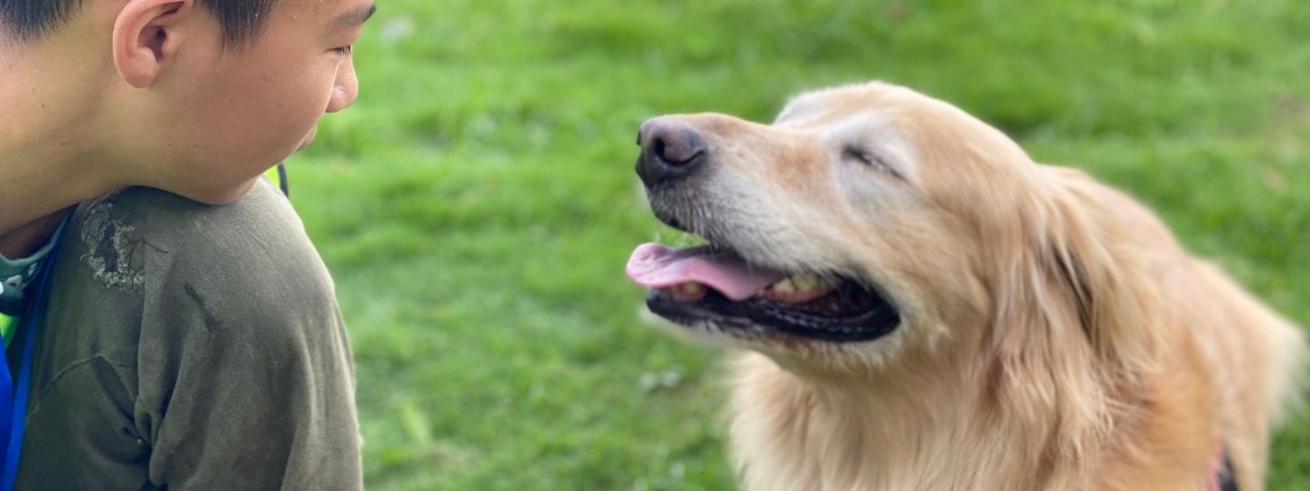 A young boy and a golden retriever look at each other and smile, surrounded by grass