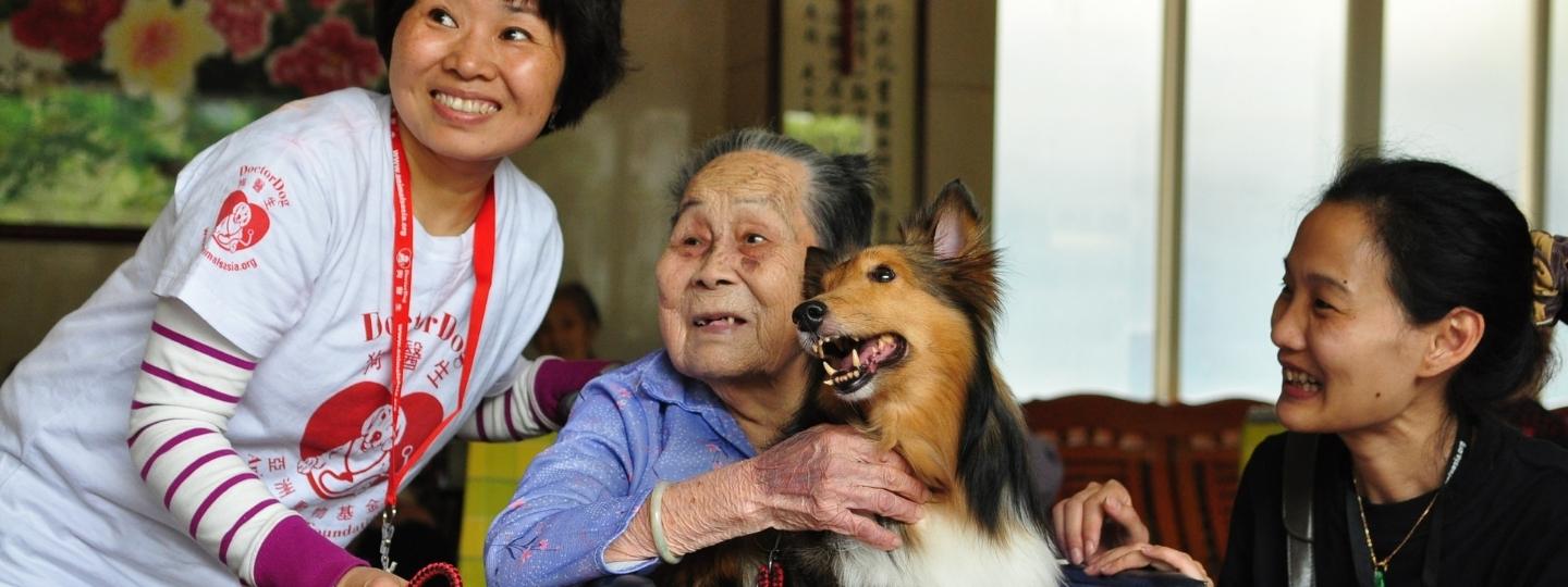 Elderly person hugging a happy Shetland Sheepdog during a Doctor Dog therapy visit in a bright community room.