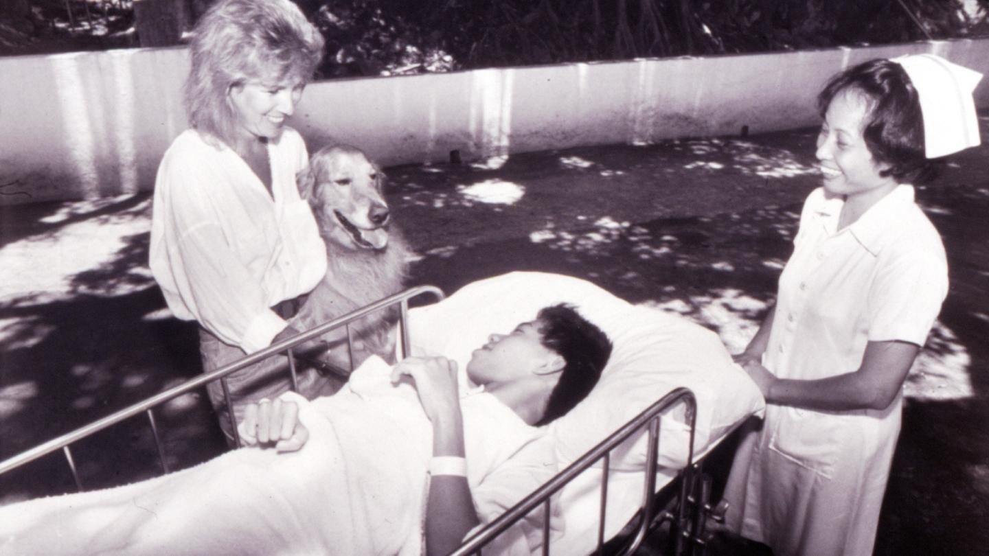 Golden retriever and two women stand beside a hospital bed outdoors, providing comfort to a patient lying under a blanket
