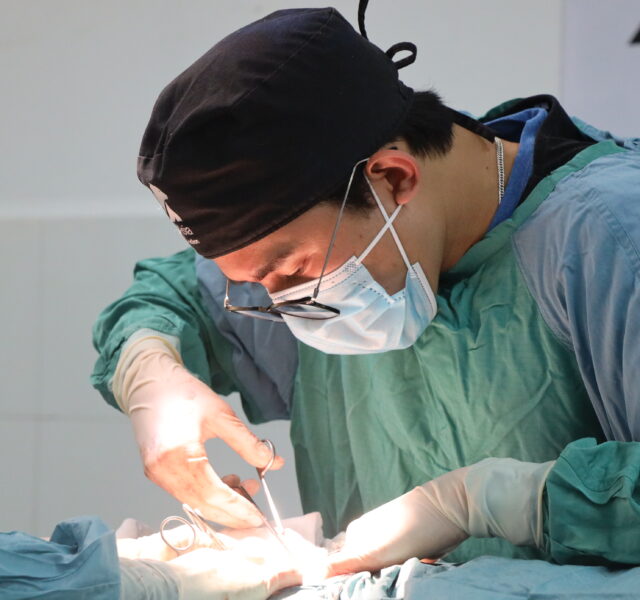Surgeon performing a delicate operation wearing gloves, gown, and mask in a brightly lit veterinary clinic.