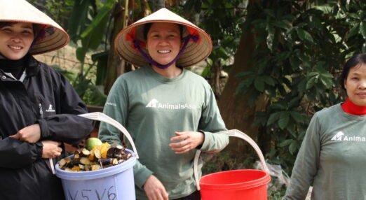 Three Animals Asia staff wearing conical hats and uniforms hold buckets of food outdoors near green foliage and banana trees.