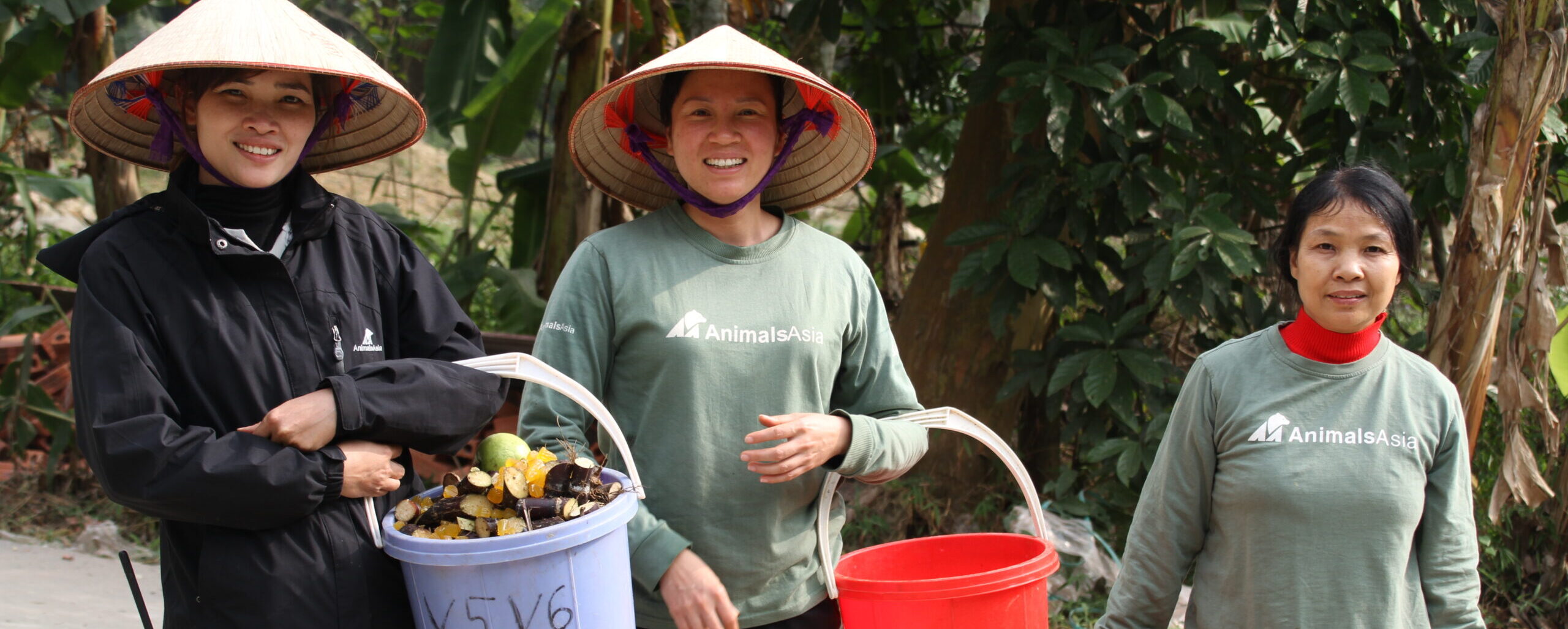 Three Animals Asia staff wearing conical hats and uniforms hold buckets of food outdoors near green foliage and banana trees.