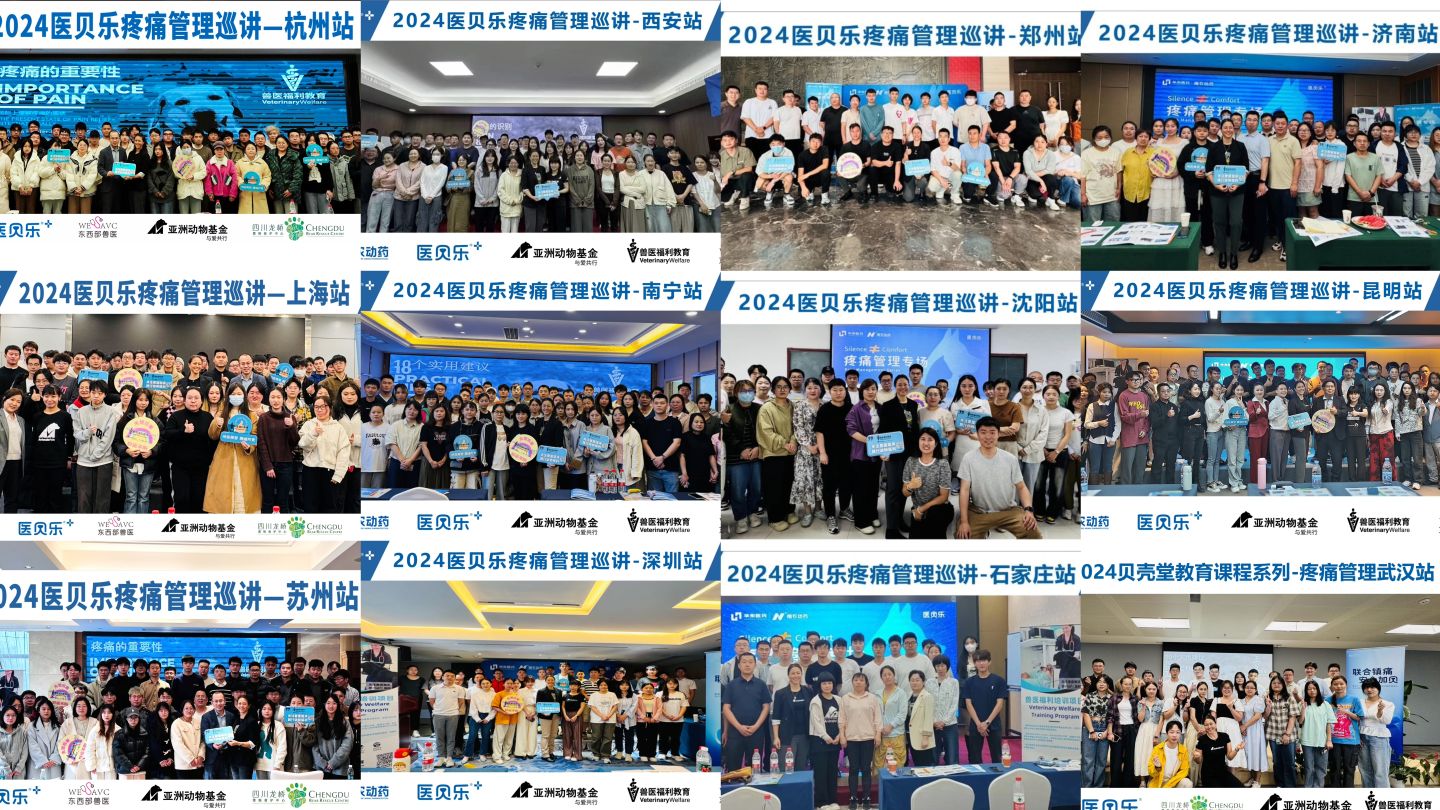 Collage of images, large group of people posing with a blue backdrop.