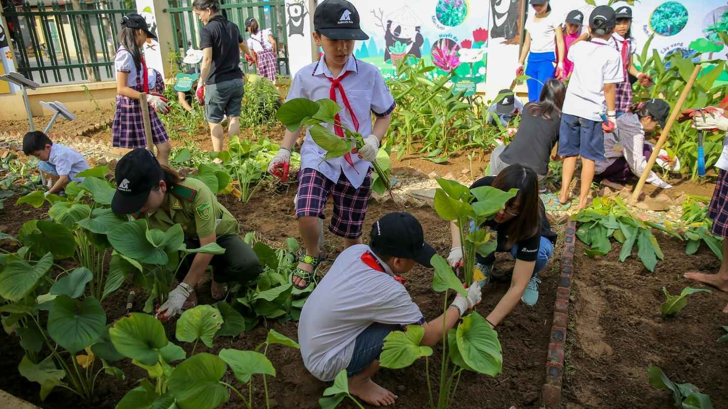 School children plant herbal plants in a garden