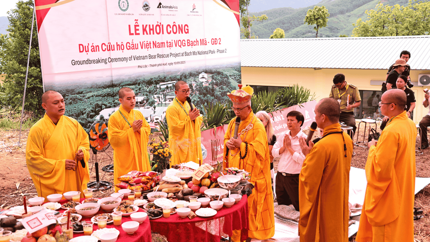 Monks in golden robes saying blessings, signage behind and participants kneeling to the right.