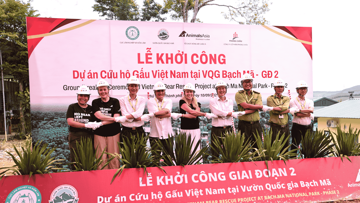 Line of people with hands connected, intertwined across their bodies, standing in front of a large banner and behind potted plants. Wearing white hard hats.