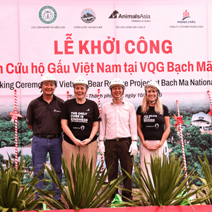 Four people in white hardhats, three in black T-shirts and one in a white shirt, standing in front of a banner and behind potted plants.