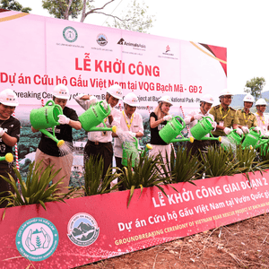 Row of nine people with white hard hats, holding green watering cans, watering plants in front of them, with large event backdrop and banner in the foreground