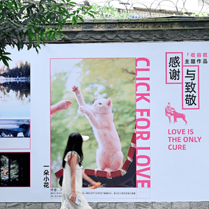 Image of woman with long dark hair and white dress, walking from left to right looking to her left at a large image of a cat on a wall with slogan Click for love, love is the only cure.