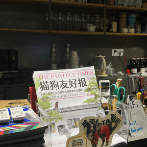 Image of a shop counter, with shelves holding glasses and cups behind, and a plastic see-though container holding a newspaper titled The Pawfect Times.
