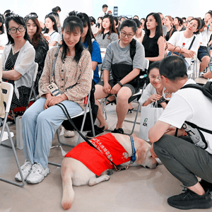 Group of people seated as in an audience in rows of chairs, looking at a dog wearing a red coat, resting on the floor beside a seated woman holding his lead.