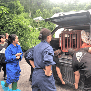 People in black t-shirts with white logo and in overalls at the back of an open car, small cage visible inside.