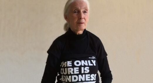 The late Dr Jane Goodall wearing an Animals Asia t-shirt with the words 'the only cure is kindness'