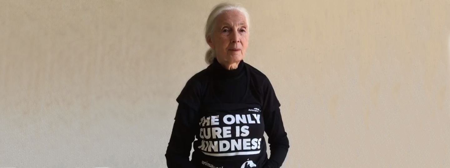 The late Dr Jane Goodall wearing an Animals Asia t-shirt with the words 'the only cure is kindness'