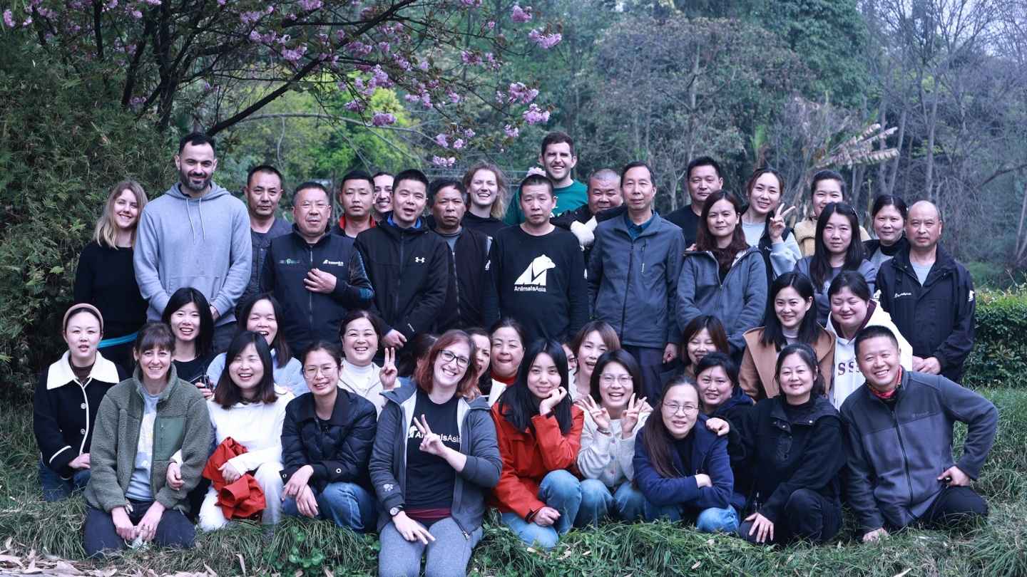 A group of Western and Chinese people wearing Animals Asia tshirts in a group looking and smiling at the camera.