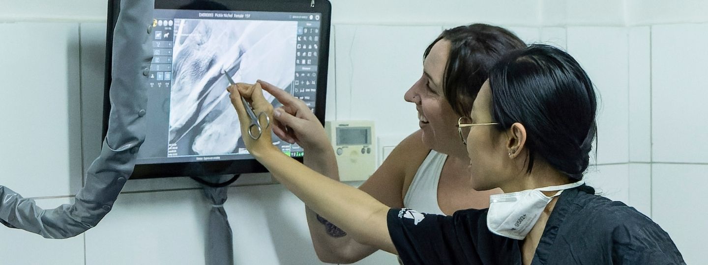 Two women looking and pointing at an x-ray on a wall.
