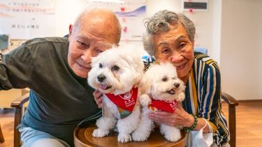 Close up of two elderly people smiling at the camera as they hold two small fluffy white dogs
