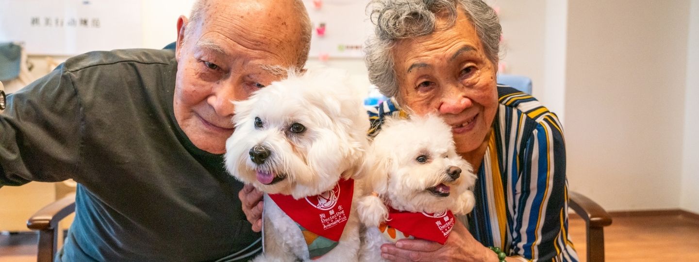 Close up of two elderly people smiling at the camera as they hold two small fluffy white dogs