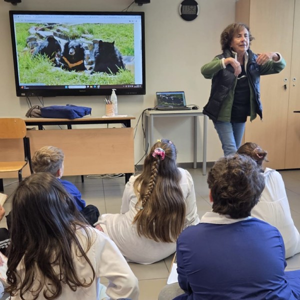 Giuliana Corea parla a una classe di bambini, gesticolando davanti a uno schermo che mostra un’immagine di orsi della luna.