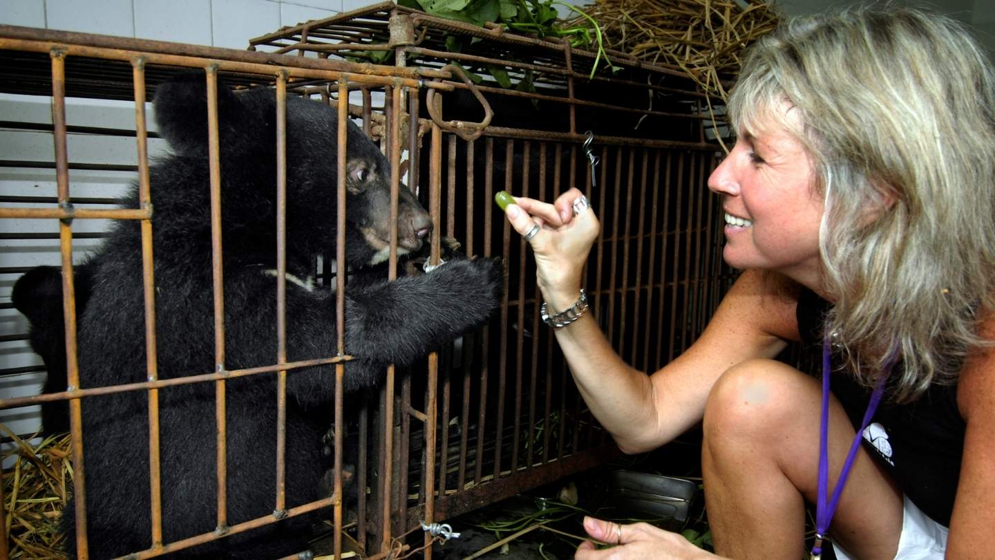 Woman kneels in front of a cage with a bear cub in it, and holds out a piece of fruit to the bear.