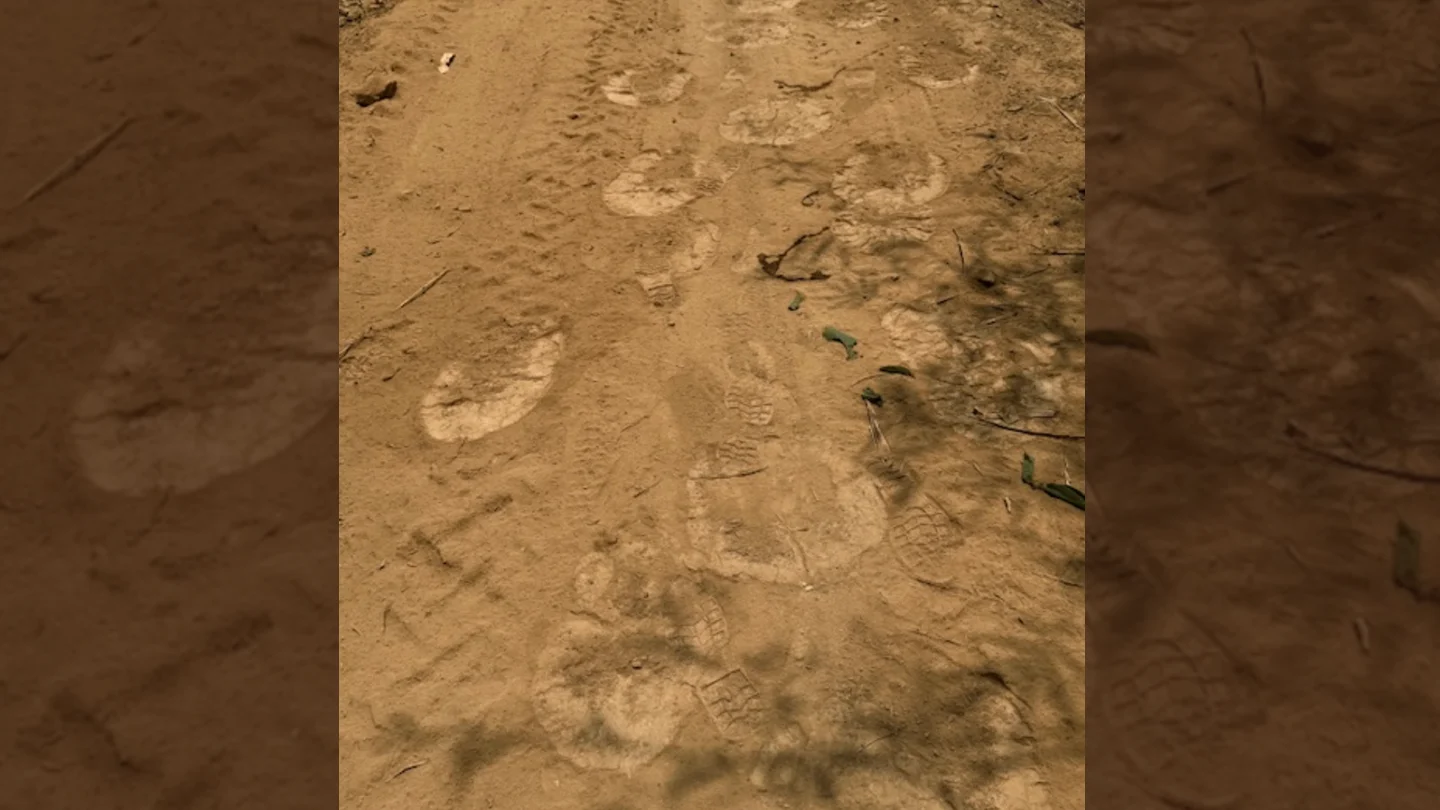 Wild elephant tracks in the mud